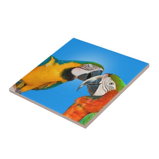 Paar van de Parrots die Tile zoenen Tegeltje (Zijkant)