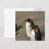 Paar van de uitnodiging van Penguins (Voorkant / Achterkant)