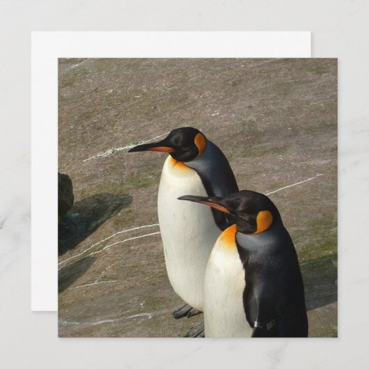 Paar van de uitnodiging van Penguins (Voorkant / Achterkant)