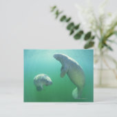 Paar van de vlindermaffiantijnen briefkaart (Staand voorkant)