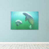 Paar van de vlindermaffiantijnen canvas afdruk (Insitu (Houten vloer))