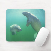 Paar van de vlindermaffiantijnen muismat (Met muis)