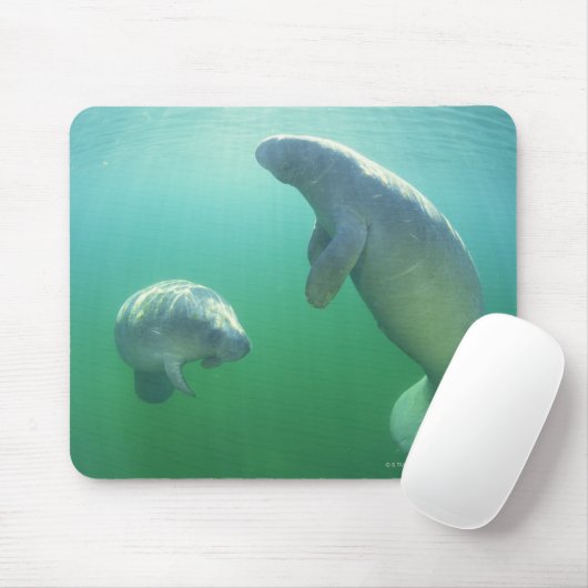 Paar van de vlindermaffiantijnen muismat (Met muis)