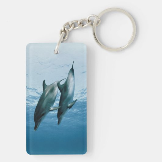 Paar van dolfijnen sleutelhanger (achterkant)