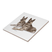 Paar van Duitse herderhonden Tegeltje (Zijkant)