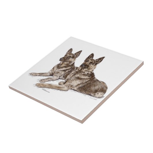 Paar van Duitse herderhonden Tegeltje (Zijkant)
