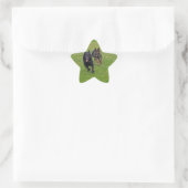 Paar van Duitse herders Ster Sticker (Tas)