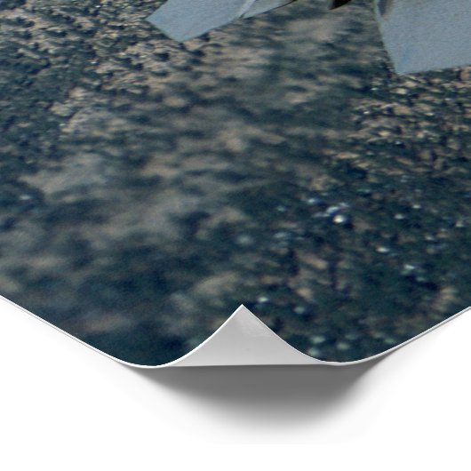 Paar van F22-toestellen Poster (Hoek)