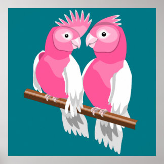 Paar van Galahs Poster