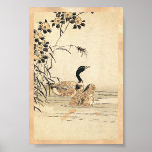 Paar van ganzen met Camellias  japanse kunst Poster