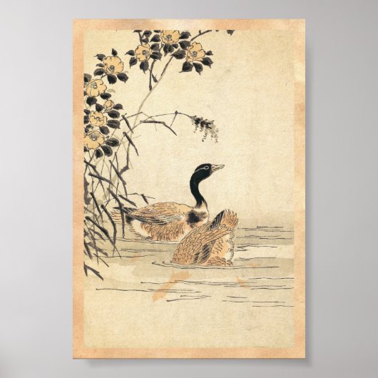Paar van ganzen met Camellias  japanse kunst Poster (Voorkant)