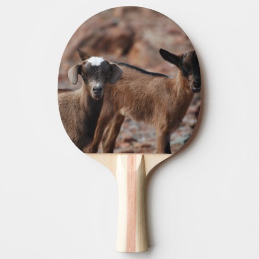 Paar van geiten tafeltennisbatje (Voorkant)