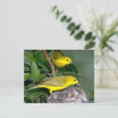 Paar van Gele Warblers met jonge Briefkaart (Staand voorkant)