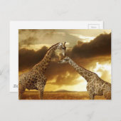 Paar van Giraffe Briefkaart (Voorkant / Achterkant)
