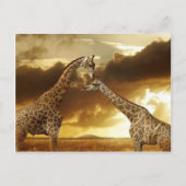 Paar van Giraffe Briefkaart (Voorkant)