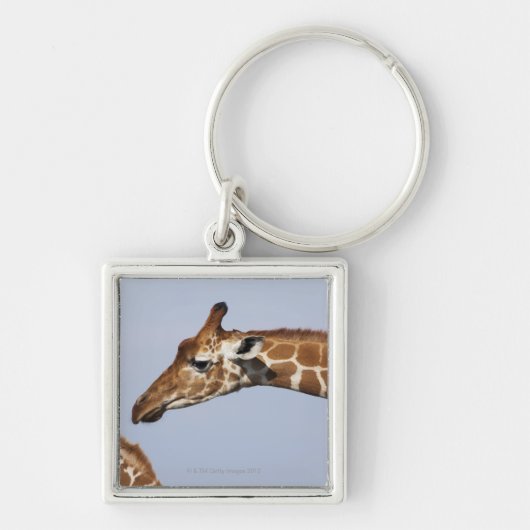 Paar van Giraffes met celstructuur (Giraffa) Sleutelhanger (Voorkant)