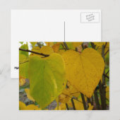 Paar van Herfst Redbud laat de herfst Fotografie Briefkaart (Voorkant / Achterkant)