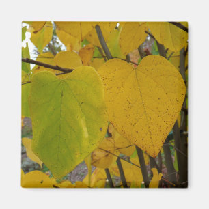 Paar van Herfst Redbud laat de herfst Fotografie Magneet