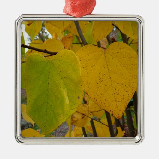 Paar van Herfst Redbud laat de herfst Fotografie Metalen Ornament (Voorkant)