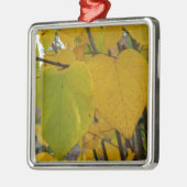 Paar van Herfst Redbud laat de herfst Fotografie Metalen Ornament (Links)