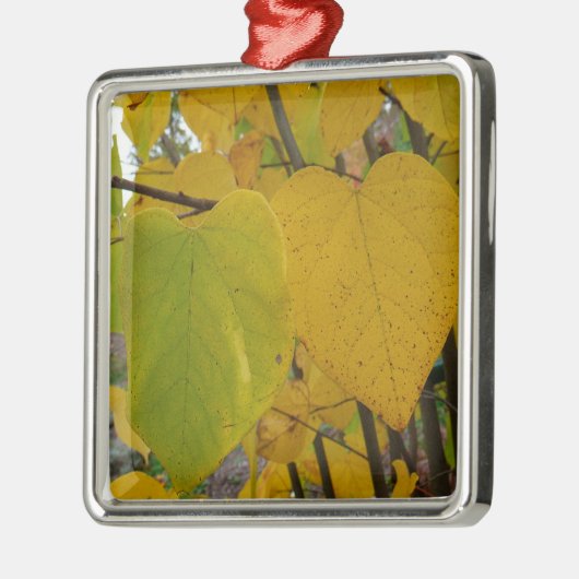 Paar van Herfst Redbud laat de herfst Fotografie Metalen Ornament (Links)