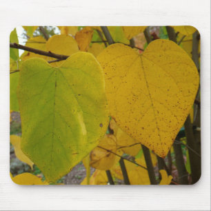 Paar van Herfst Redbud laat de herfst Fotografie Muismat