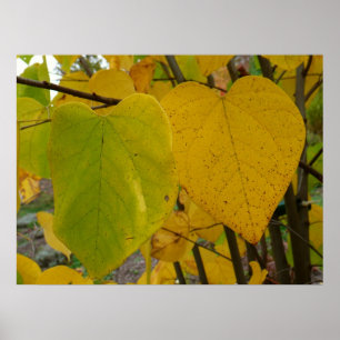 Paar van Herfst Redbud laat de herfst Fotografie Poster