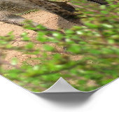 Paar van het Poster Hyenas (Hoek)