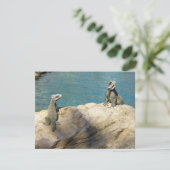 Paar van Iguanas Tropical Wildlife Photography (Staand voorkant)