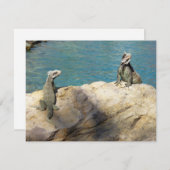 Paar van Iguanas Tropical Wildlife Photography (Voorkant / Achterkant)
