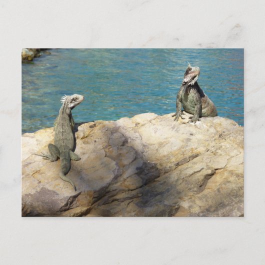 Paar van Iguanas Tropical Wildlife Photography Briefkaart (Voorkant)