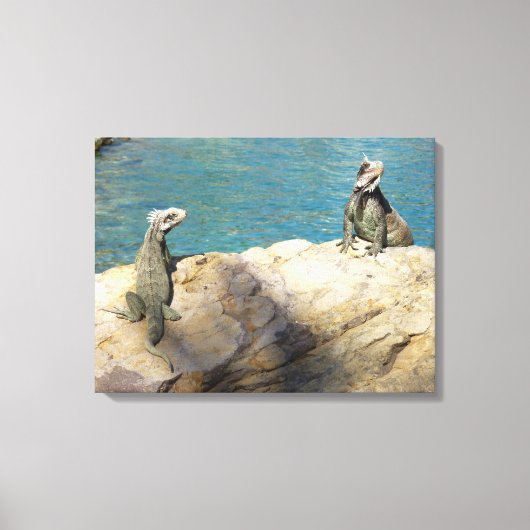 Paar van Iguanas Tropical Wildlife Photography Canvas Afdruk (Voorkant)