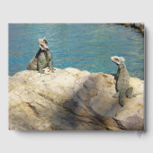 Paar van Iguanas Tropical Wildlife Photography Gastenboek (Achterkant)