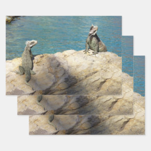 Paar van Iguanas Tropical Wildlife Photography Inpakpapier Vel