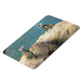 Paar van Iguanas Tropical Wildlife Photography Magneet (Linkerzijde)