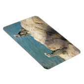 Paar van Iguanas Tropical Wildlife Photography Magneet (Rechterzijde)