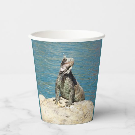 Paar van Iguanas Tropical Wildlife Photography Papieren Bekers (Voorkant)