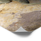 Paar van Iguanas Tropical Wildlife Photography Poster (Hoek)