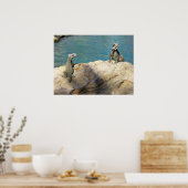 Paar van Iguanas Tropical Wildlife Photography Poster (Keuken)
