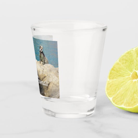 Paar van Iguanas Tropical Wildlife Photography Shot Glas (Rechts)