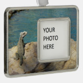 Paar van Iguanas Tropical Wildlife Photography Verzilverd Omlijst Ornament (Rechts)