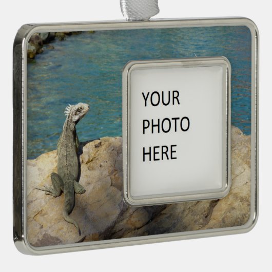 Paar van Iguanas Tropical Wildlife Photography Verzilverd Omlijst Ornament (Rechts)