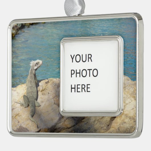 Paar van Iguanas Tropical Wildlife Photography Verzilverd Omlijst Ornament (Links)
