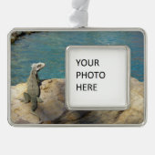 Paar van Iguanas Tropical Wildlife Photography Verzilverd Omlijst Ornament (Voorkant)