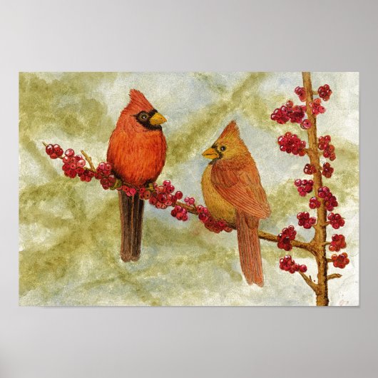 Paar van kardinalen poster (Voorkant)
