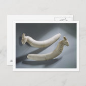 Paar van kastanjes, dunne periode (hippopotamus iv briefkaart (Voorkant / Achterkant)