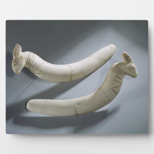 Paar van kastanjes, dunne periode (hippopotamus iv fotoplaat