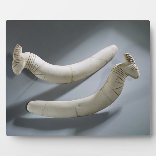 Paar van kastanjes, dunne periode (hippopotamus iv fotoplaat (Voorkant)