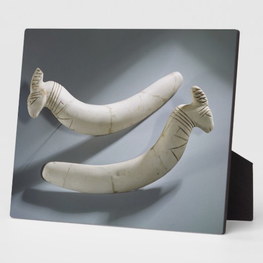 Paar van kastanjes, dunne periode (hippopotamus iv fotoplaat (Zijkant)