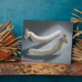 Paar van kastanjes, dunne periode (hippopotamus iv fotoplaat (Zijkant)